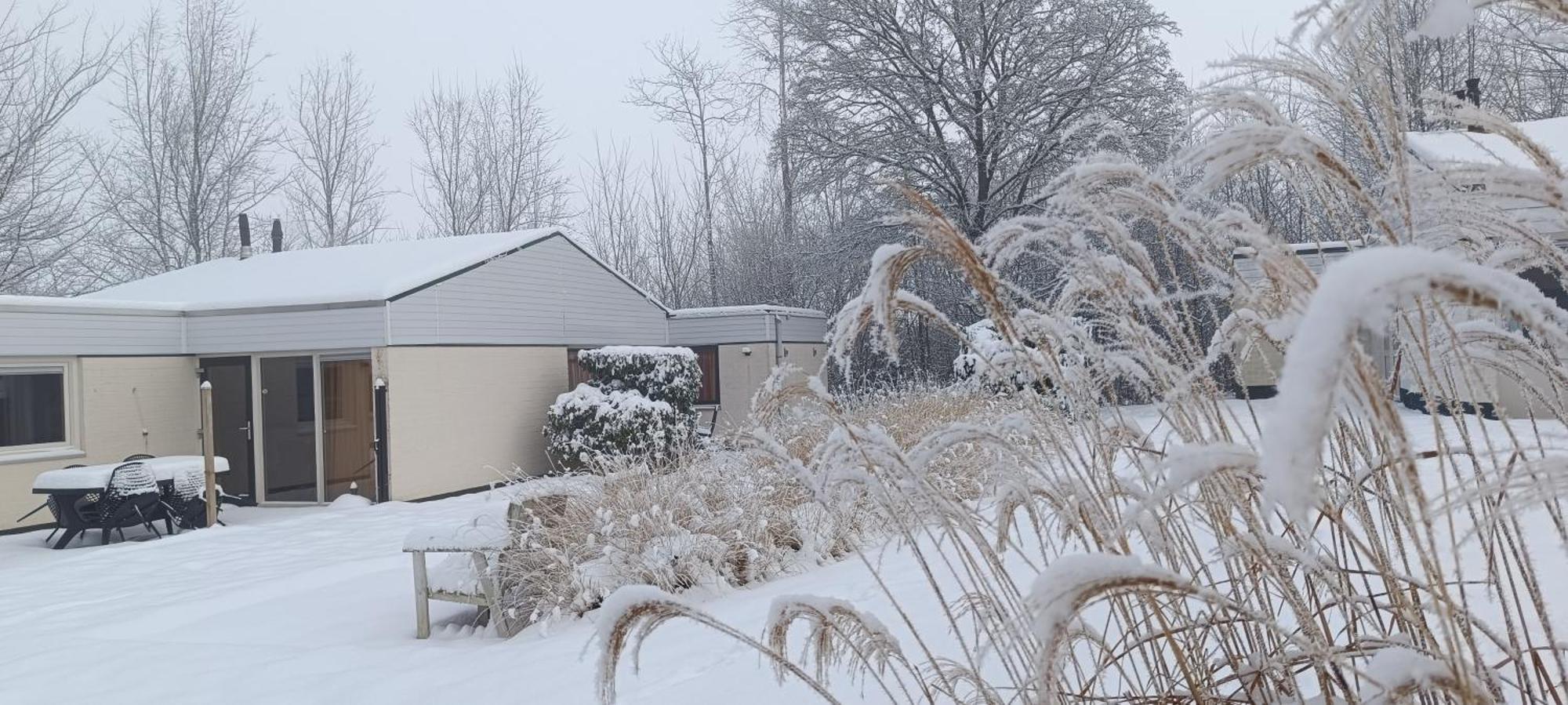 فيلا 4-Pers Vakantiebungalow In Het Heuvelland سيمبيلفيلد المظهر الخارجي الصورة